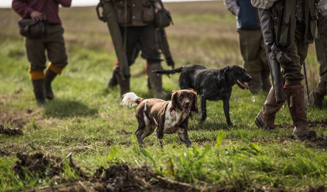 British Field & Countryside Sports Shooting British Country Sports